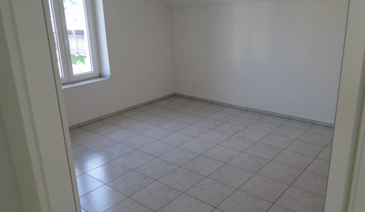 Zimmer3